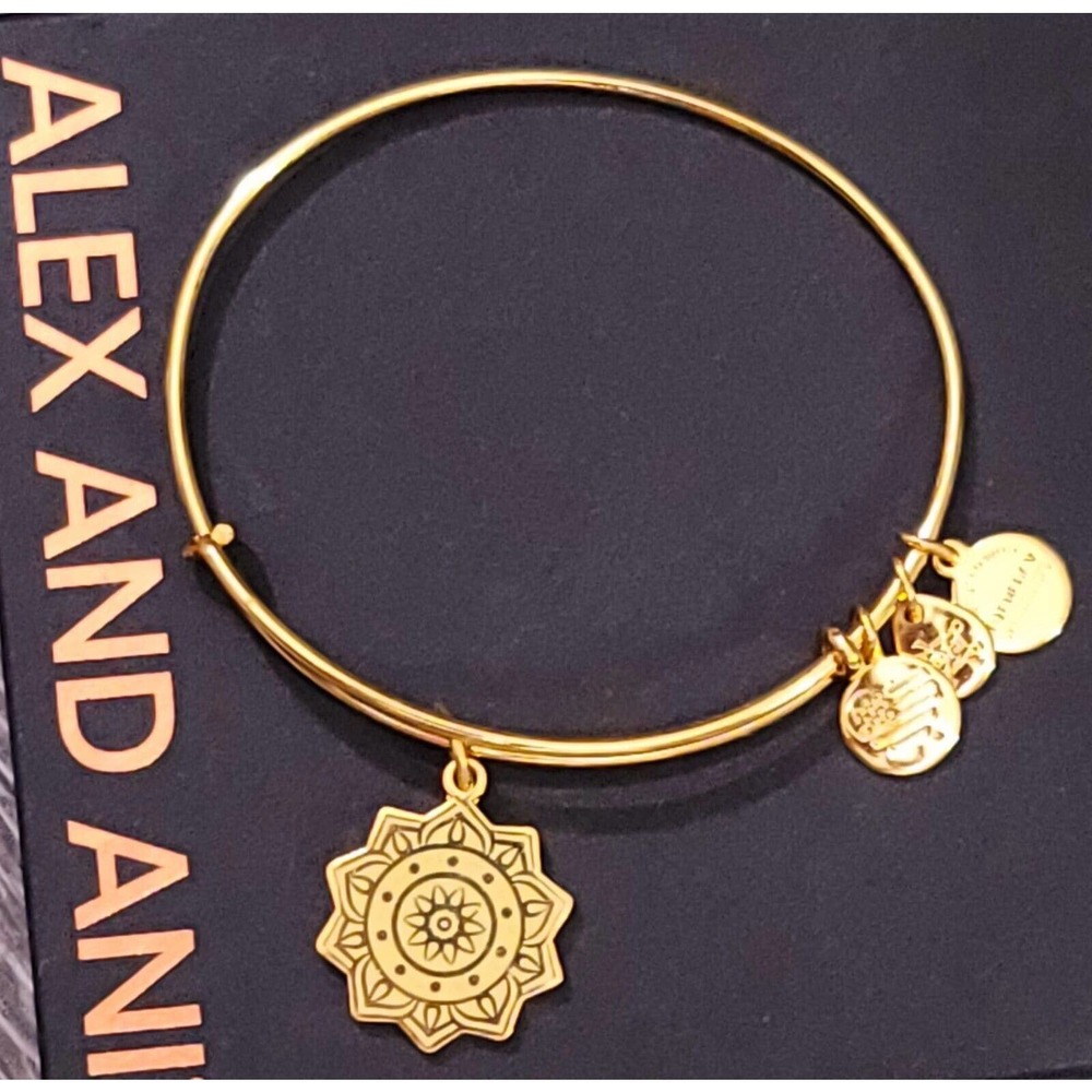 Alex And Ani Chakra Charm Bracelet